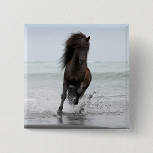 Stallion, der auf Strand Nordatlantik läuft Button
