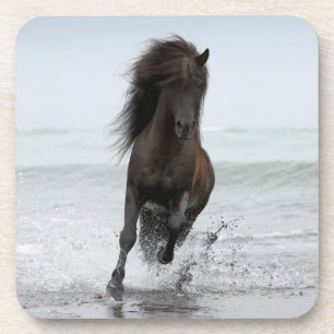 Stallion, der auf Strand Nordatlantik läuft Getränkeuntersetzer