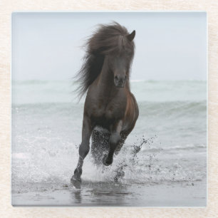 Stallion, der auf Strand Nordatlantik läuft Glasuntersetzer