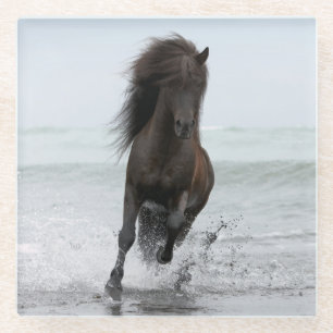 Stallion, der auf Strand Nordatlantik läuft Glasuntersetzer