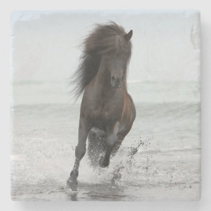 Stallion, der auf Strand   Nordatlantik läuft Steinuntersetzer