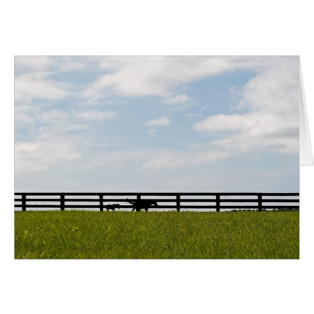 Stallion Farm (Devant horizontal)