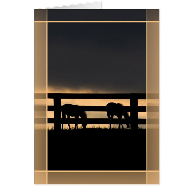 Stallion Farm Incoming Storch (Vorne)