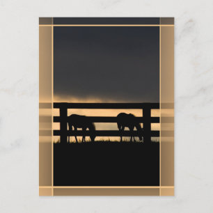 Stallion Farm vertikal Postkarte