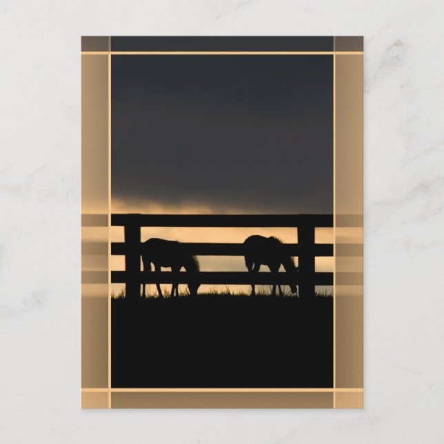 Stallion Farm vertikal Postkarte (Vorderseite)