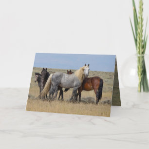 Stallion Gris Sauvage Protège Sa Carte Mares