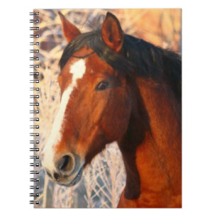 Stallion Horse Notizblock