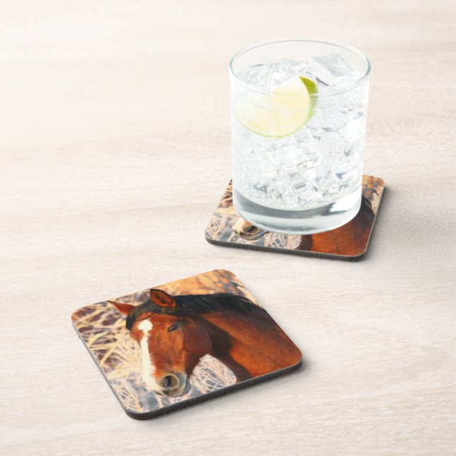 Stallion Horse Untersetzer (Rechte Seite)