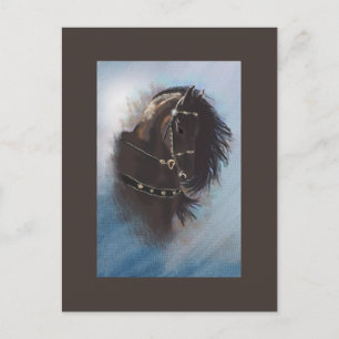 Stallion Portrait - Carte postale