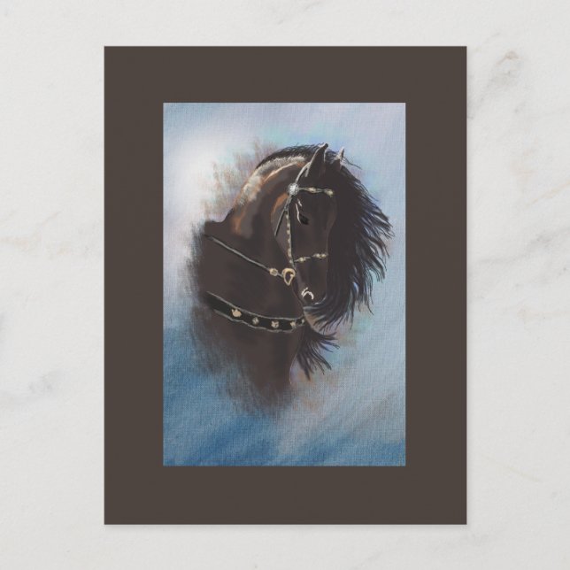 Stallion Portrait - Postkarte (Vorderseite)