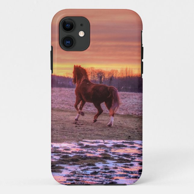Stallion Running Zuhause bei Sunset auf Ranch Case-Mate iPhone Hülle (Rückseite)