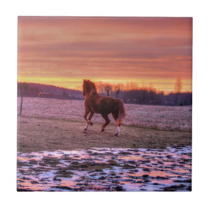 Stallion Running Zuhause bei Sunset auf Ranch Fliese