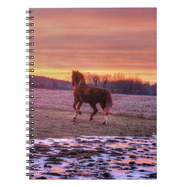 Stallion Running Zuhause bei Sunset auf Ranch Notizblock (Vorderseite)