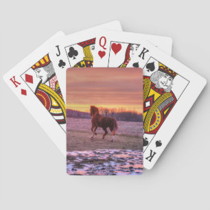 Stallion Running Zuhause bei Sunset auf Ranch Spielkarten