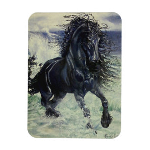 Stallion Schwarzes "des friesischen Sturms" im Magnet