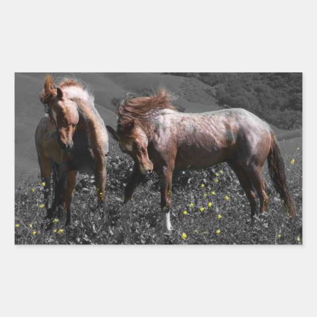 Stallion Spar Rechteckiger Aufkleber (Vorderseite)