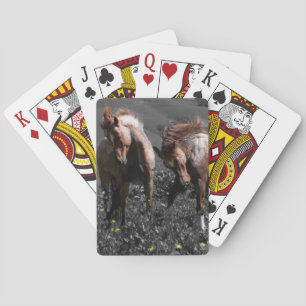 Stallion Spar Spielkarten