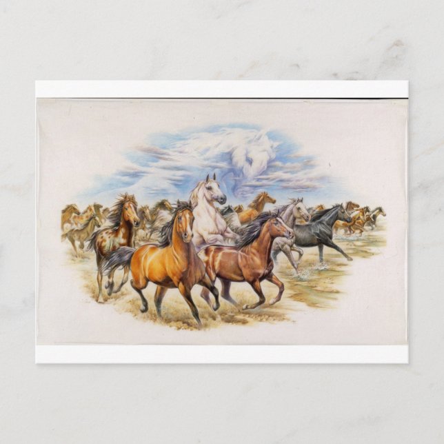 Stallion Stampede Postkarte (Vorderseite)