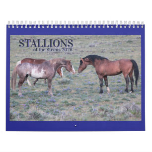 "Stallions" MustangWild 2026 Kalender