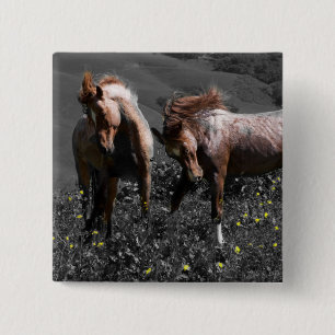 Stallions-Spar Button