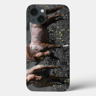 Stallions-Spar Case-Mate iPhone Hülle