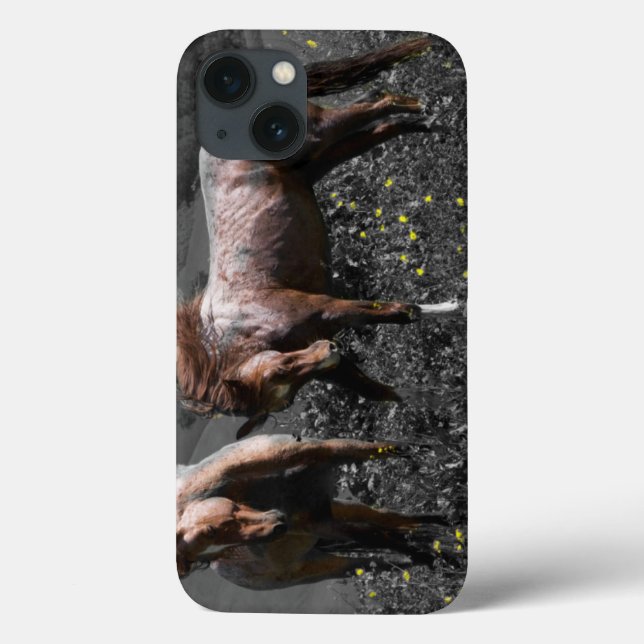 Stallions-Spar Case-Mate iPhone Hülle (Rückseite)