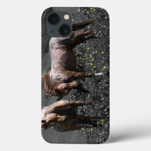 Stallions-Spar Case-Mate iPhone Hülle