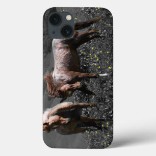 Stallions-Spar Case-Mate iPhone Hülle