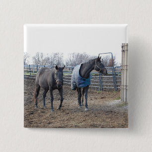 Stallpferde Button