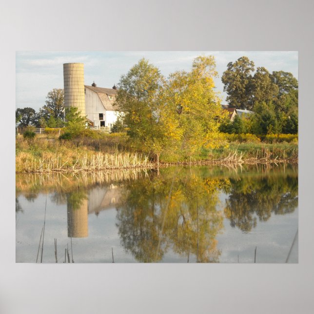 Stallreflektionen Poster (Vorne)