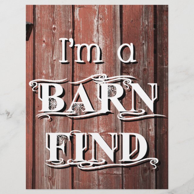 Stallsuche (Vorderseite)