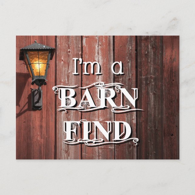 Stallsuche Postkarte (Vorderseite)