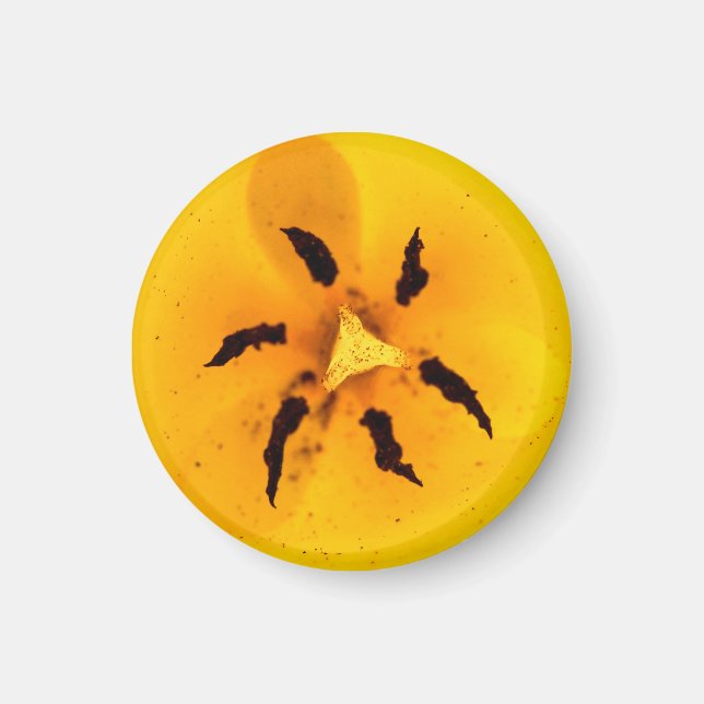 Stamen und Pollen Magnet (Vorne)