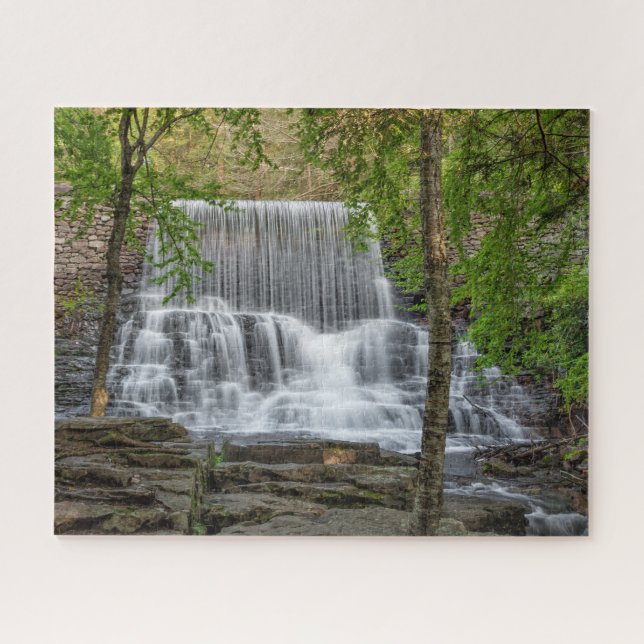 Stametz Dam 16x20 harte (Horizontal)