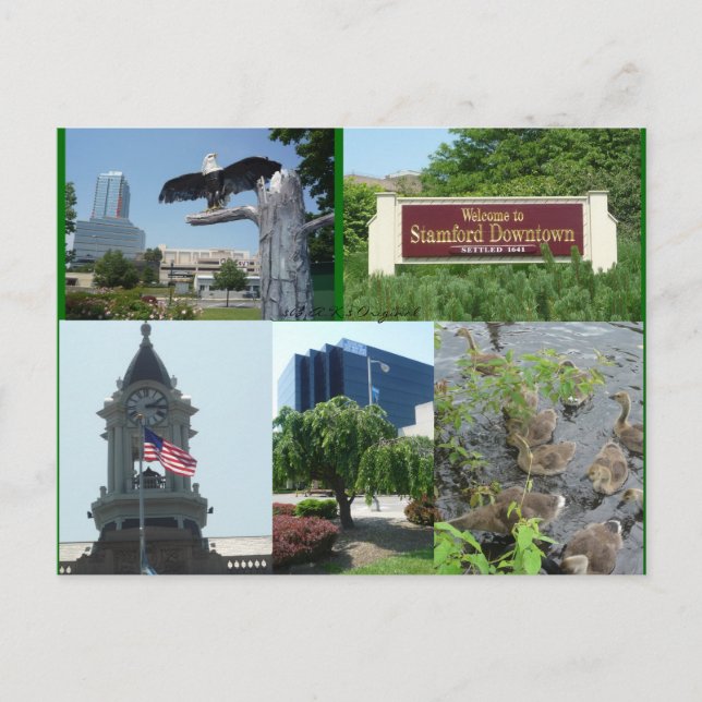 Stamford Downtown Centre Postcard Postkarte (Vorderseite)