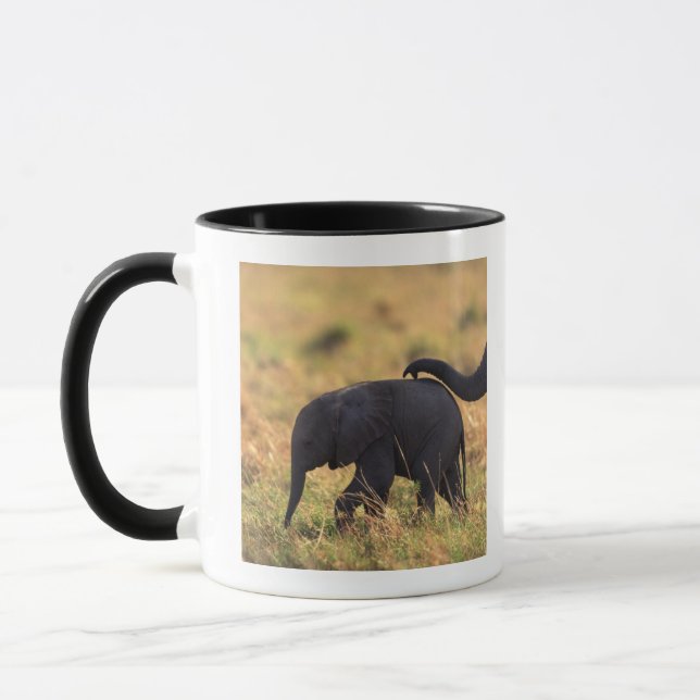 Stamm der rührenden Nachkommenschaft des Tasse (Links)