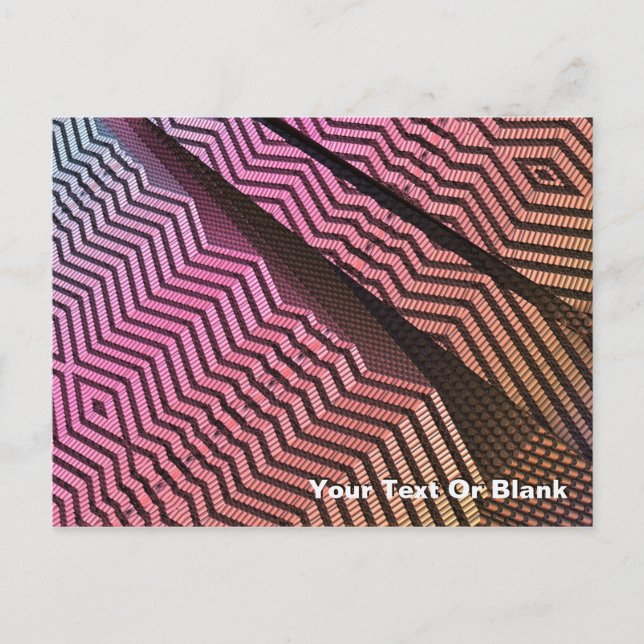 Stammesabteilungen Postkarte (Vorderseite)