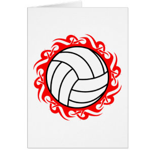 Stammvolleyball