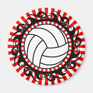 Stammvolleyball Magnet