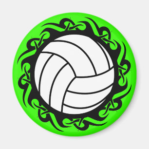 Stammvolleyball Magnet