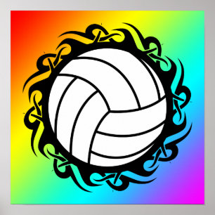 Stammvolleyball Poster