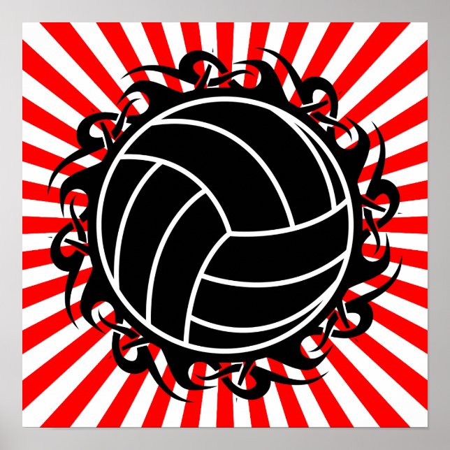 Stammvolleyball Poster (Vorne)