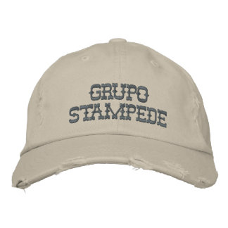 Stampede bestickter Hut