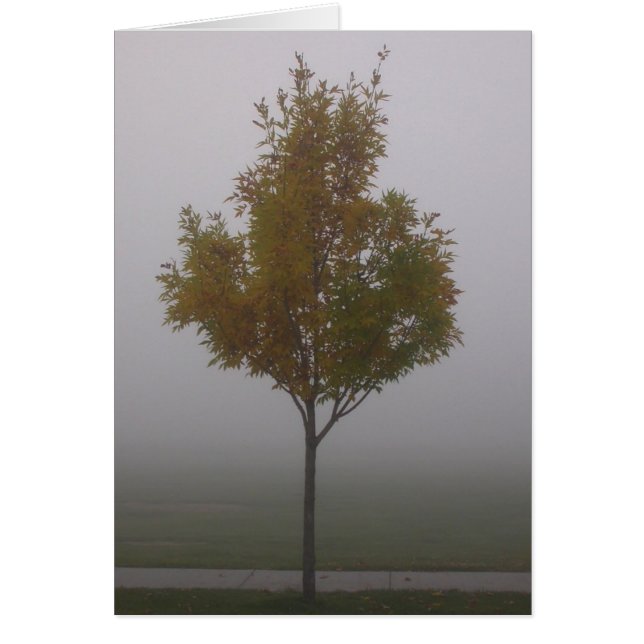 Stand allein (Vorne)