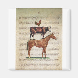 Stand C1.tif des Bauernhof-NOB12 Magnet