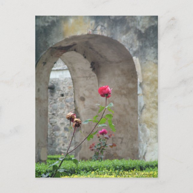 Stand-Hoch-Postkarte Postkarte (Vorderseite)