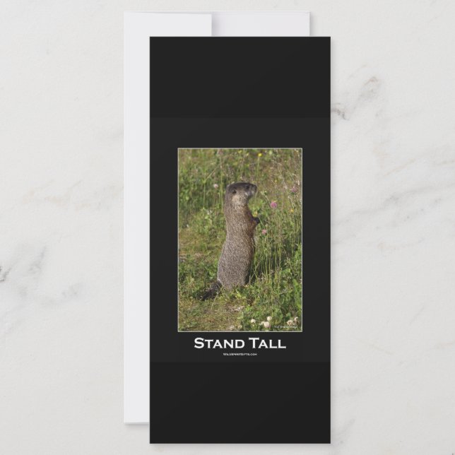 Stand Tall Marmot Card (Vorderseite)