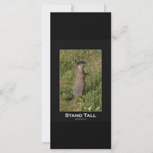 Stand Tall Marmot Card
