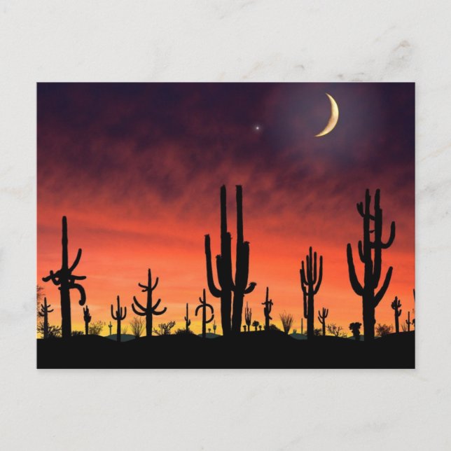 Stand Tall_ Postkarte (Vorderseite)