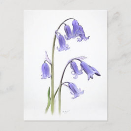 Standard, 12,7 cm x 17,8 cm Faltkarte Postkarte